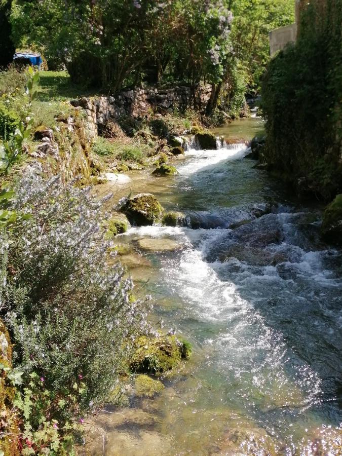 Au Fil De L'Eau Panzió Cerdon  Kültér fotó